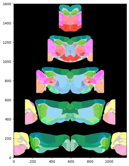 ../_images/notebooks_external_atlas_circular_pyramidal_flatmap_10_1.png
