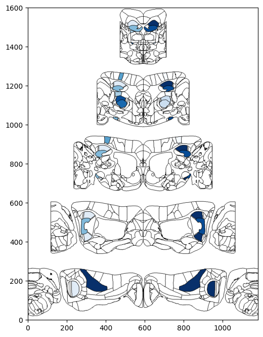../_images/notebooks_external_atlas_circular_pyramidal_flatmap_20_0.png