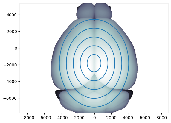 ../_images/notebooks_external_atlas_circular_pyramidal_flatmap_5_2.png
