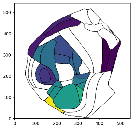 ../_images/notebooks_external_atlas_dorsal_cortex_flatmap_13_0.png