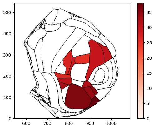 ../_images/notebooks_external_atlas_dorsal_cortex_flatmap_14_0.png