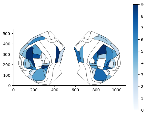 ../_images/notebooks_external_atlas_dorsal_cortex_flatmap_16_0.png