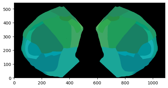 ../_images/notebooks_external_atlas_dorsal_cortex_flatmap_5_1.png