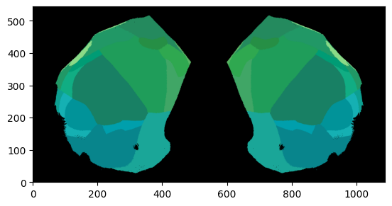 ../_images/notebooks_external_atlas_dorsal_cortex_flatmap_6_1.png