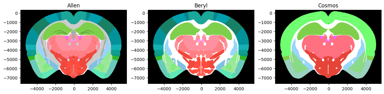../_images/notebooks_external_atlas_mapping_3_0.png