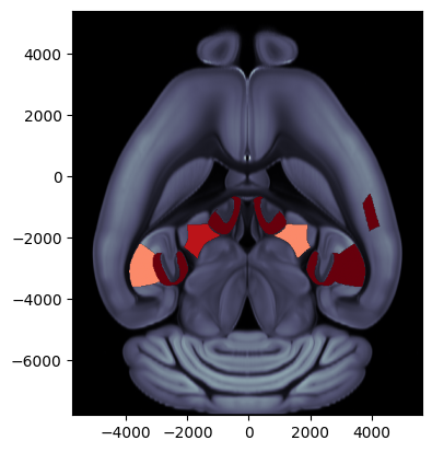 ../_images/notebooks_external_atlas_plotting_scalar_on_slice_19_0.png