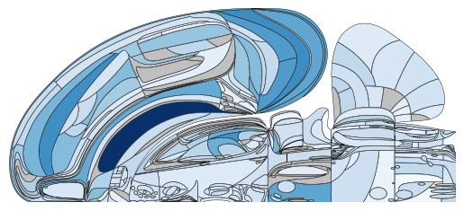 ../_images/notebooks_external_atlas_swanson_flatmap_23_1.png