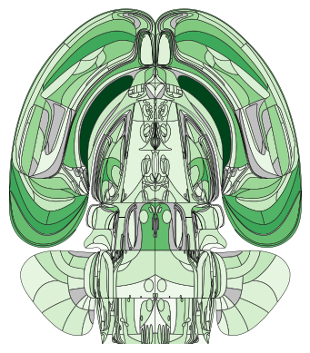 ../_images/notebooks_external_atlas_swanson_flatmap_27_2.png