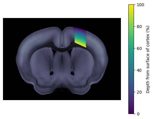 ../_images/notebooks_external_atlas_streamlines_2_0.png