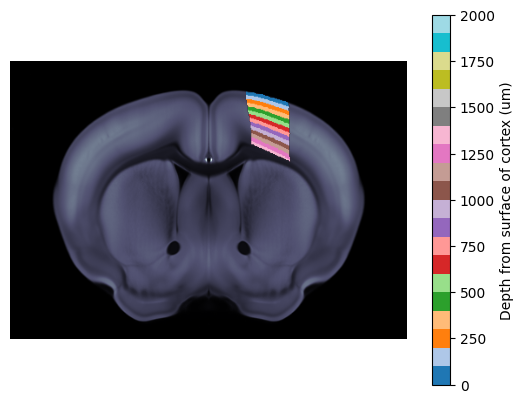 ../_images/notebooks_external_atlas_streamlines_4_0.png